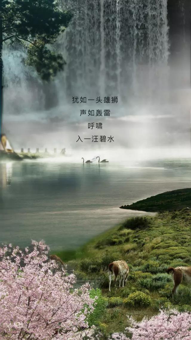 SAKURA츻ƽ̨¼עE98ѹȼˮ