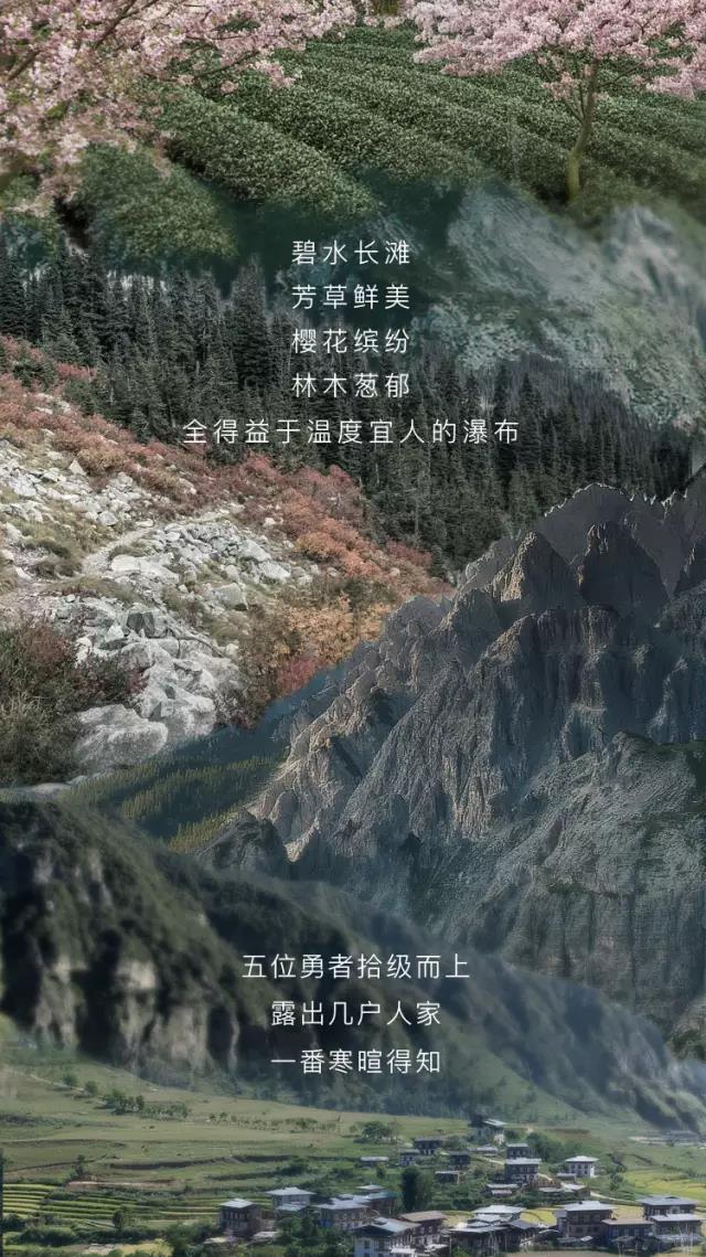 SAKURA츻ƽ̨¼עE98ѹȼˮ